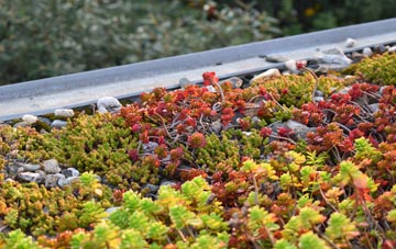 the cost of Kings Ripton green roof installation