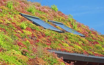 Kings Ripton living roof systems