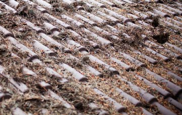 Kings Ripton roof cleaning companies