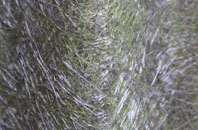 Kings Ripton fibreglass roof work